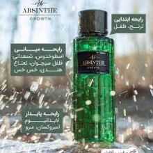 عطر مردانه ابسنت گروث 100 میل ادو پرفیوم