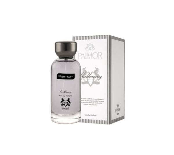 ادوپرفیوم مردانه پالمور مدل گالووی حجم 100ml